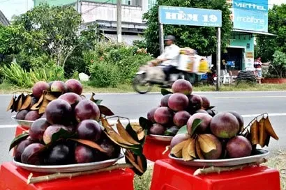 7 món đặc sản nức tiếng Sóc Trăng, du khách ăn một lần là nhớ mãi