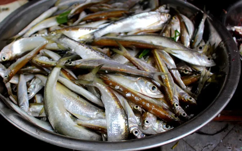 Bản đồ ẩm thực: Về sông Ngân Sơn ăn cá mương nướng mộc