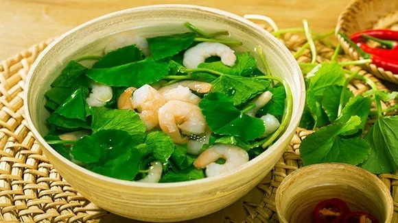 Loại rau bò vườn chế biến cách này rất dễ lại giúp thanh nhiệt, giải độc cơ thể hiệu quả