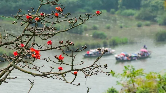 Những loài hoa tháng 3 không chỉ đẹp mà làm món ăn cực ngon, chế biến đơn giản