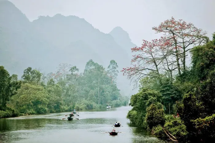 Những loài hoa tháng 3 không chỉ đẹp mà làm món ăn cực ngon, chế biến đơn giản