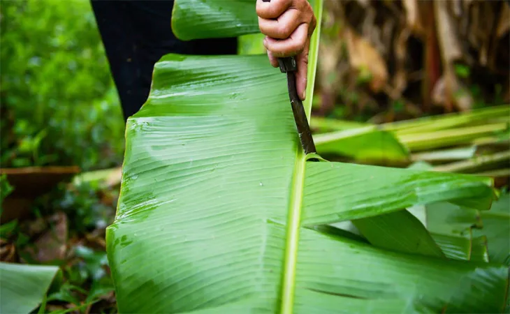 2 cách nấu lẩu cá kèo đậm đà thơm ngon như ngoài hàng