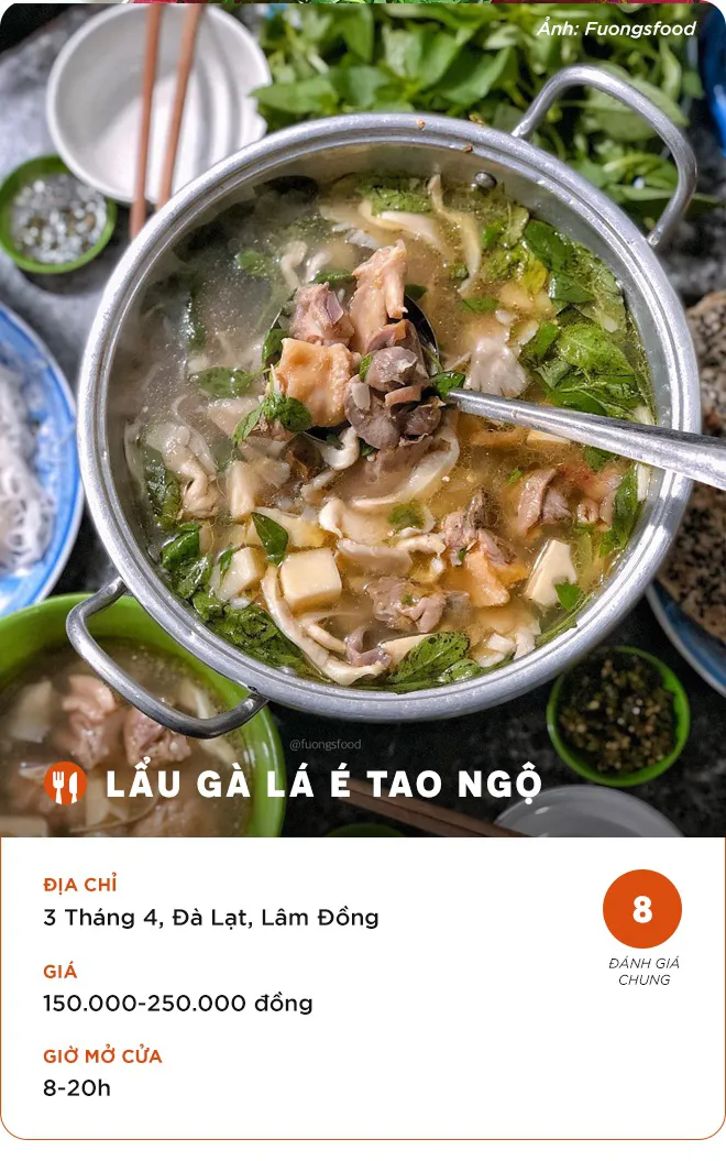 4 tiệm lẩu gà lá é ngon cho chuyến du xuân Đà Lạt