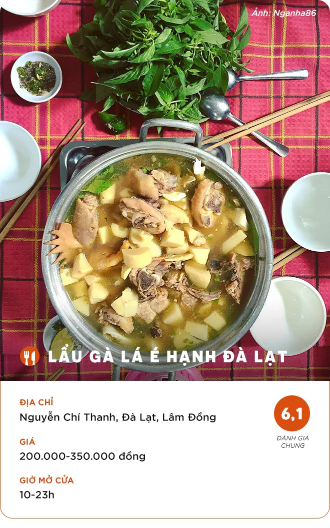 4 tiệm lẩu gà lá é ngon cho chuyến du xuân Đà Lạt