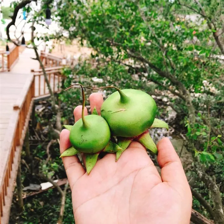 Ăn bún ở Cần Thơ