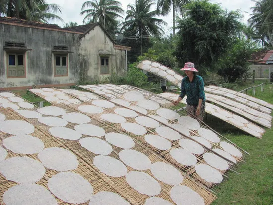 Bánh tráng nước dừa Bình Định – Tinh hoa đặc sản “xứ dừa” Tam Quan nhất định phải nếm thử