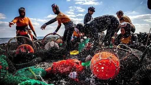 Bào ngư: Nguyên liệu tuyệt hảo đến từ đảo Jeju