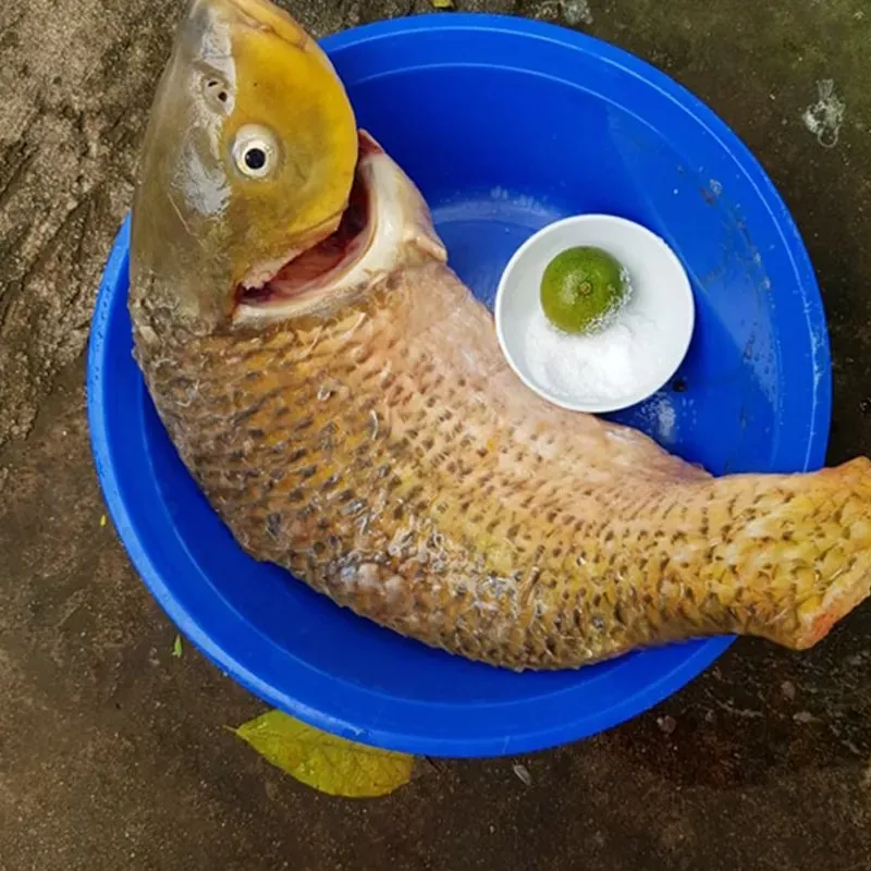 ‘Bỏ túi’ công thức lẩu cá chép om dưa bổ dưỡng, người sành ăn nhất cũng phải gật gù khen ngon