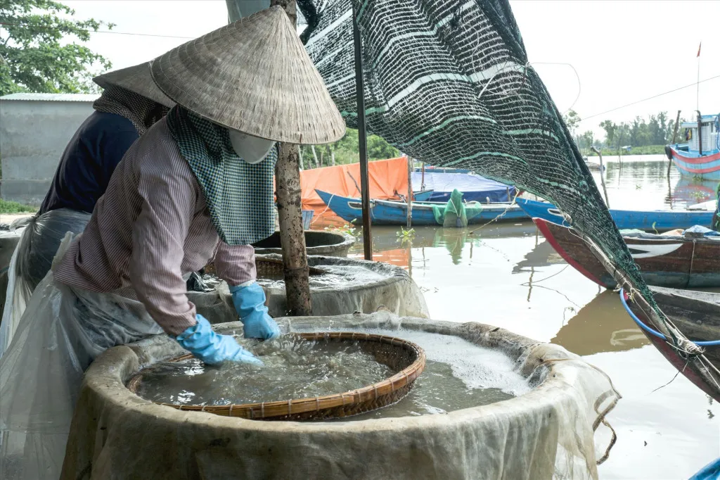 Đến Phan Thiết thưởng thức bún sườn bò chuẩn vị