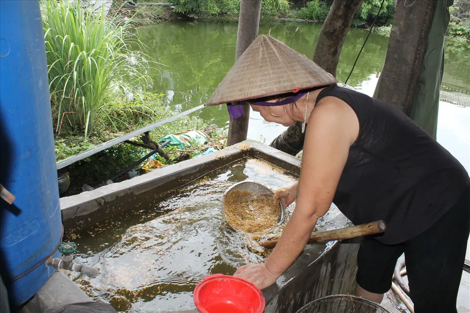 Dẻo thơm cốm truyền thống ở làng cốm Nông Xá Hải Phòng