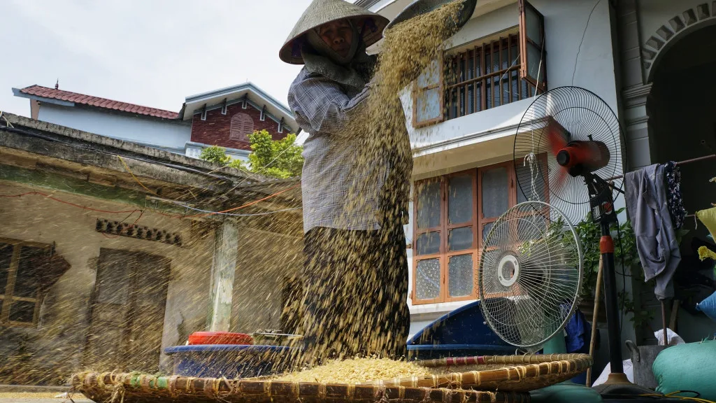 Dẻo thơm cốm truyền thống ở làng cốm Nông Xá Hải Phòng