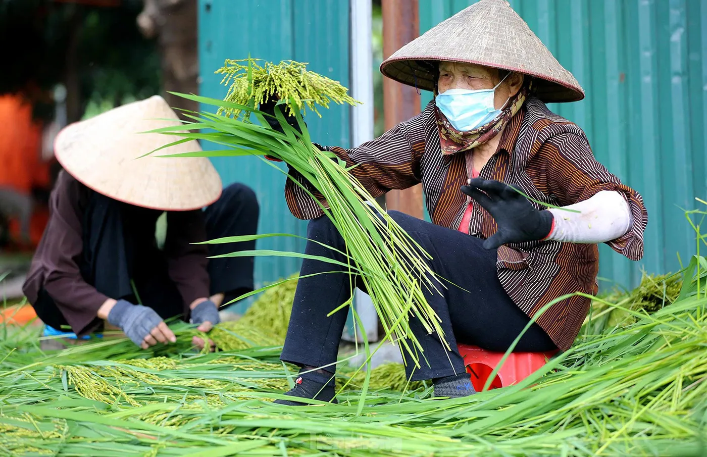 Điểm danh 5 món ăn vặt được lòng hội chị em