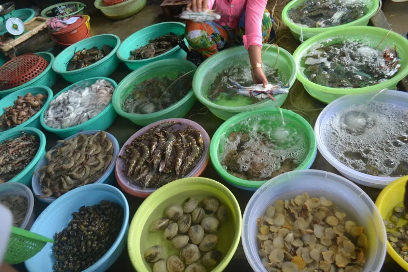 Du lịch Ninh Thuận, thưởng thức ngay những món ăn đặc sản hấp dẫn