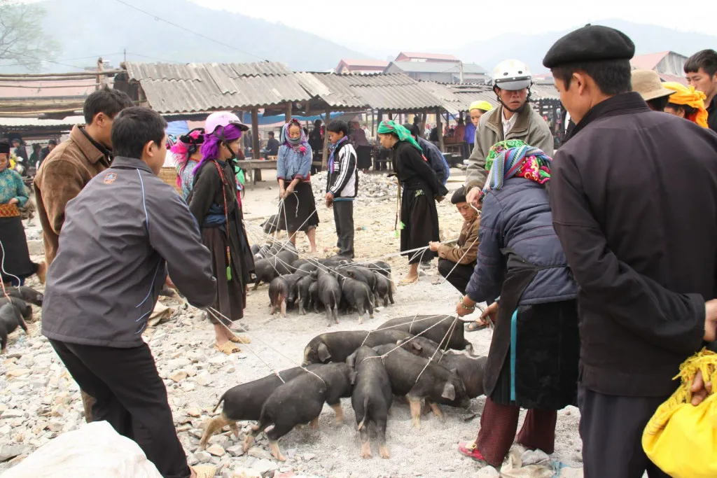 Khám phá văn hóa ẩm thực Tây Bắc đặc trưng đầy ấn tượng