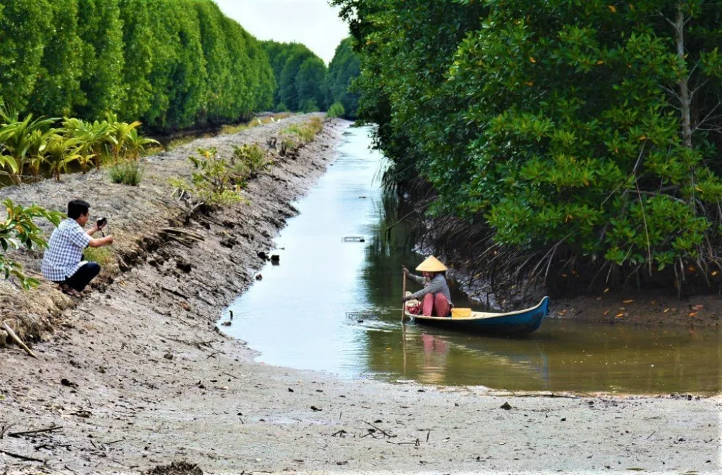 Mắm ong – Đặc sản Cà Mau