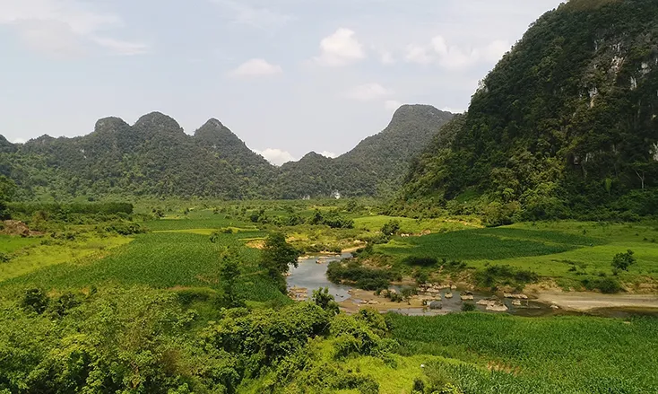 Những món ăn tinh tế từ hoa sen thơm ngon hấp dẫn