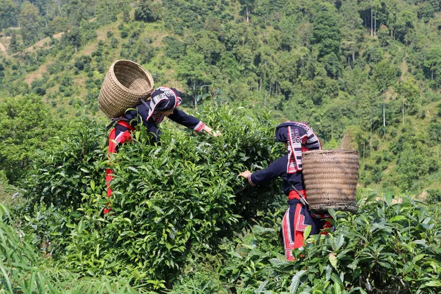 5 đặc sản không thể bỏ qua khi ghé Hà Giang mùa hoa tam giác mạch