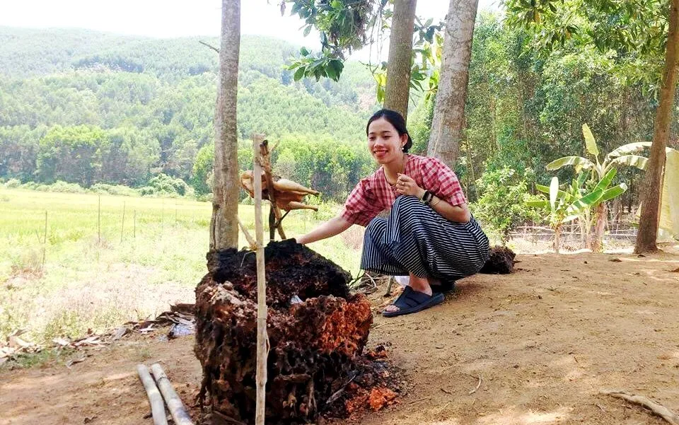 Cách làm gà nướng gỗ sồi đặc biệt ở cửa hàng ven đường Hàn Quốc