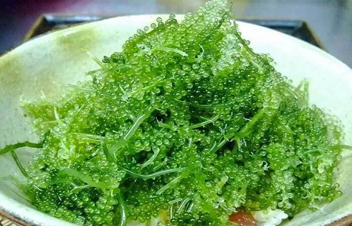 Cách làm salad rong nho cá hồi không tanh, giàu dinh dưỡng