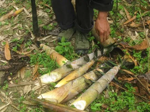 [Chế biến]-Bún măng vịt