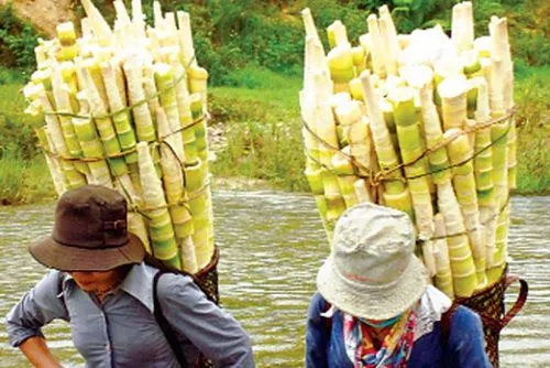 [Chế biến]-Bún măng vịt