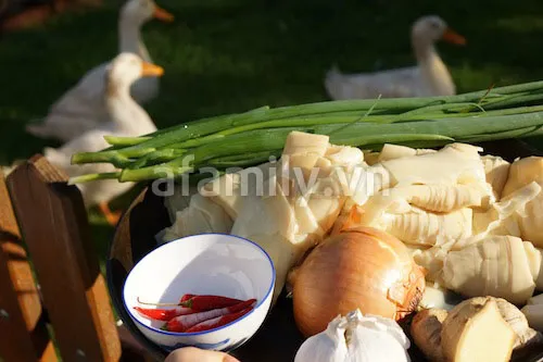 [Chế biến] – Bún vịt nấu măng