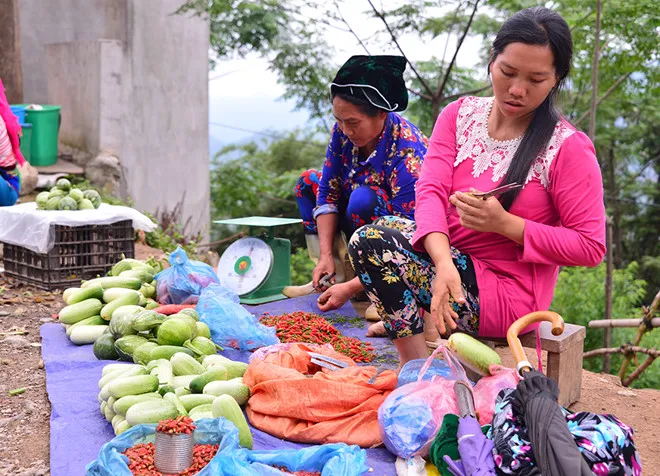 Giao lưu ẩm thực cá tôm sông Hậu – rau củ quả Langbiang tại Cần Thơ