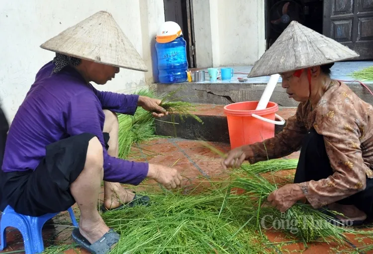 Lạ miệng với món tàu hủ cốm xanh, tàu hủ đậu đỏ