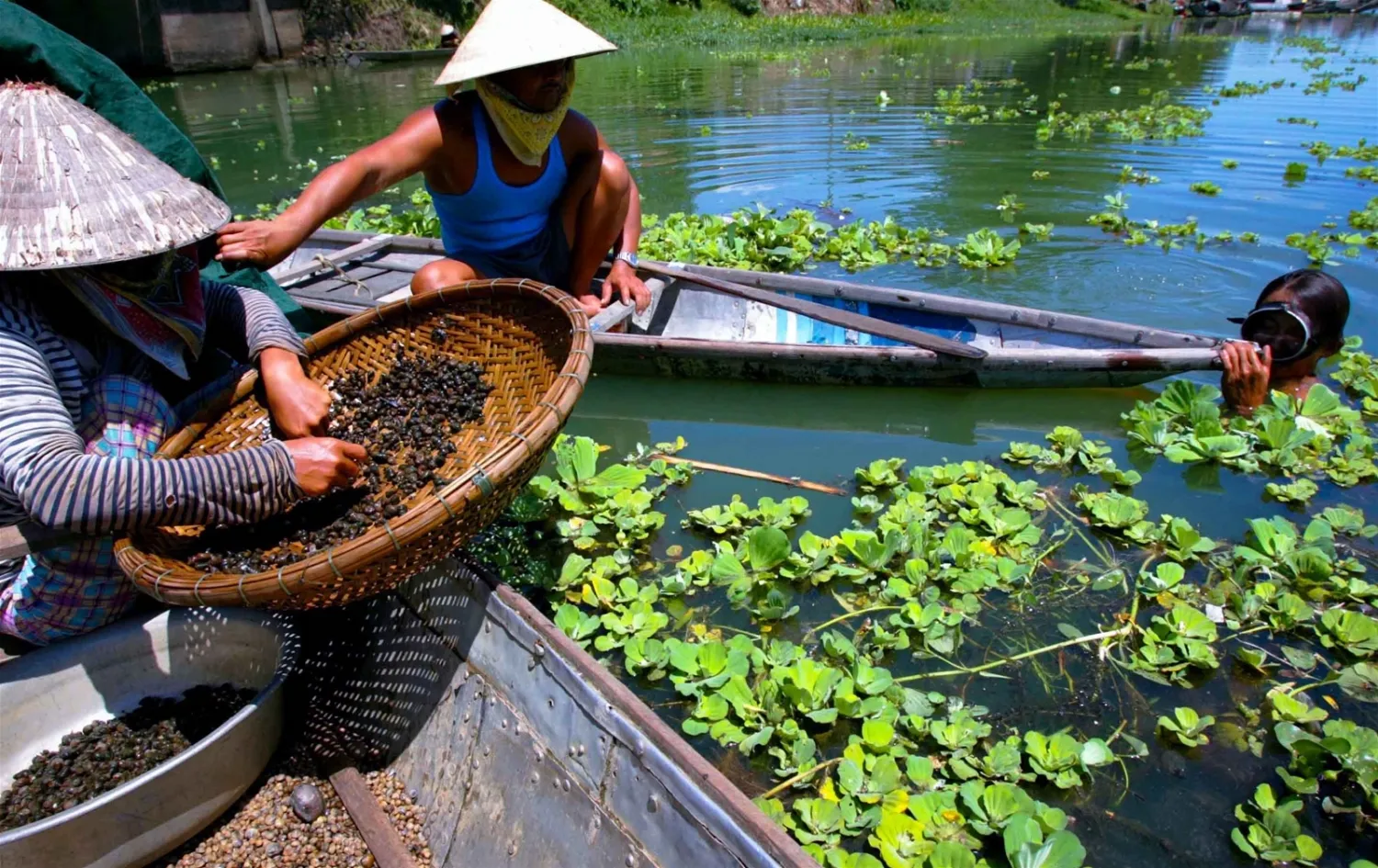 Mang hương vị ẩm thực xứ Huế về căn bếp nhà bạn với món hến xào xúc bánh đa “cay xé lưỡi”