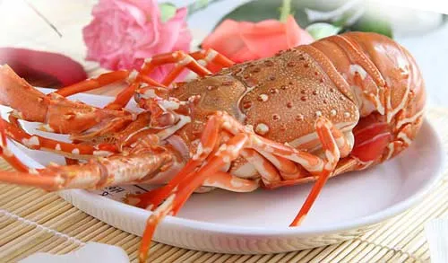 Nhà hàng Probeef – Chào mừng 20/11, nhiều ưu đãi hấp dẫn!.