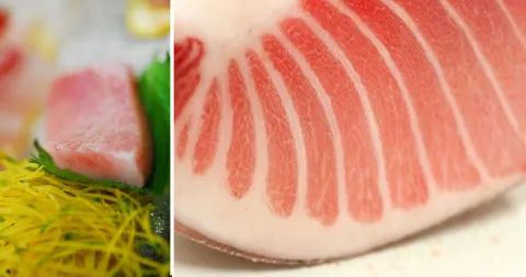 Sashimi bụng cá ngừ