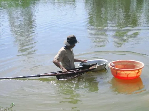 Tô don ngày tết