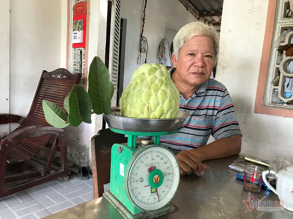 Vét hết vàng mua cây na trái siêu to khổng lồ nặng 1,5kg